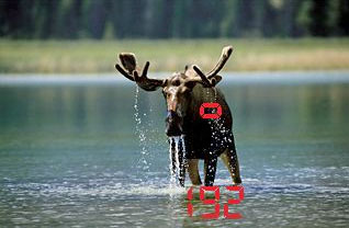 Leica Rangemaster CRF 2400-R